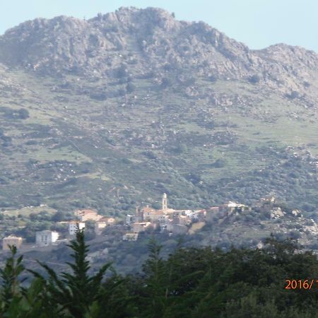 Mini Villa Marcel Classee 3 Etoiles Calenzana Kültér fotó