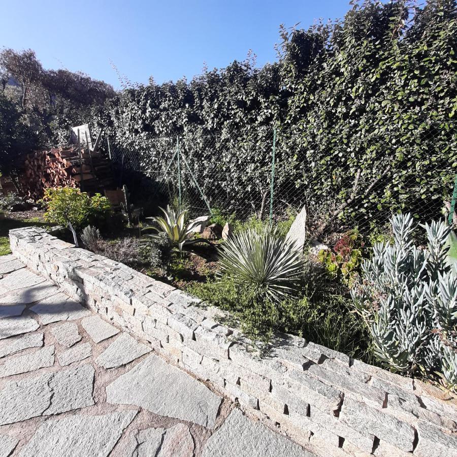 Mini Villa Marcel Classee 3 Etoiles Calenzana Kültér fotó